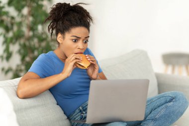 Siyah Bayan Isıran Burger Laptop kullanıyor İnterneti tarıyor Salonda oturuyor