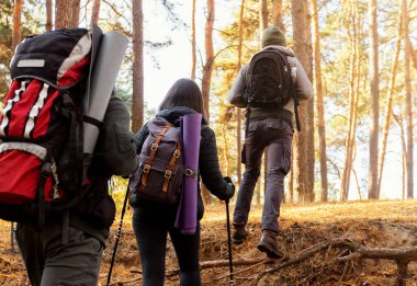Yürüyüşçülerin birlikte ormanı keşfettikleri arka plan görüntüsü