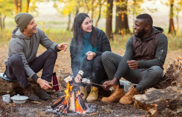 Heureux amis internationaux frire guimauve et parler à la forêt — Photo