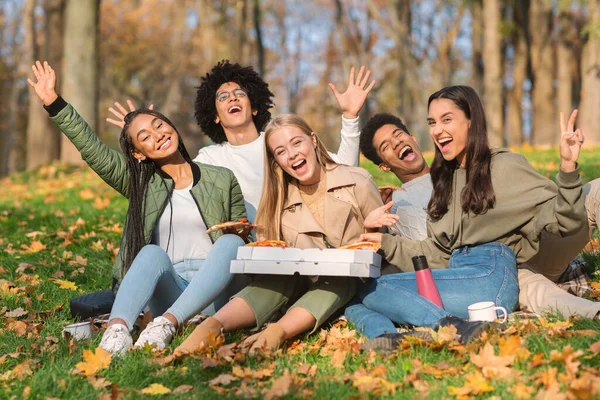 Amigos emocionales disfrutando de un día soleado, haciendo picnic en el parque —  Fotos de Stock