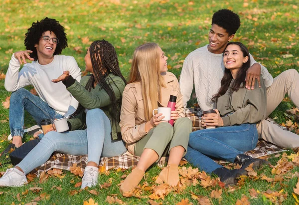 Genç arkadaşlar parkta piknik yaparken sohbet ediyorlar. — Stok fotoğraf