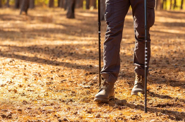 Mužské nohy pěší turistika v lese, pomocí vycházkové hole — Stock fotografie