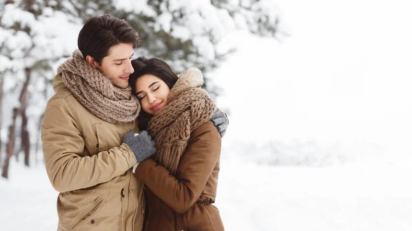 Симпатичные влюбленные обнимаются стоя в снежном лесу на открытом воздухе, Панорама — стоковое фото