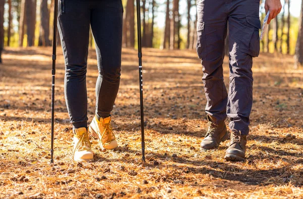 Arkadaşların bacakları sonbahar ormanında yürüyor, yakın plan. — Stok fotoğraf