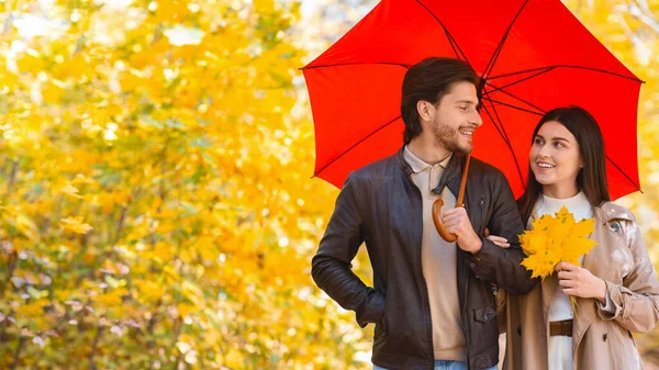 Jovens amantes felizes com guarda-chuva e um monte de folhas douradas — Fotografia de Stock