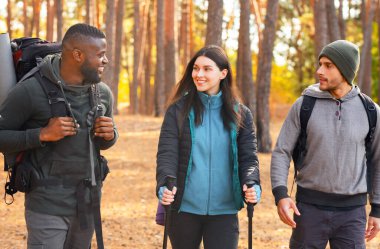 Çok ırklı yürüyüşçüler ormanda sırt çantasıyla gezerken eğleniyorlar.