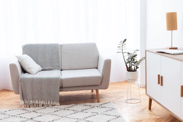 Przytulny Minimalistyczny Salon Wnętrze pokoju z wygodną sofą — Zdjęcie stockowe