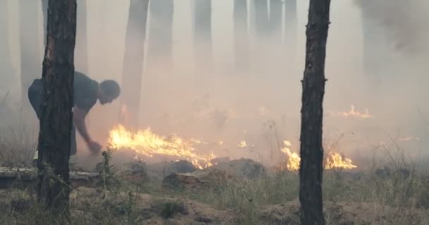 Feuerwehrleute löschen Waldbrand mit Sand. Starke Flammen, Rauch steigt aus brennendem trockenen Busch auf. — Stockvideo
