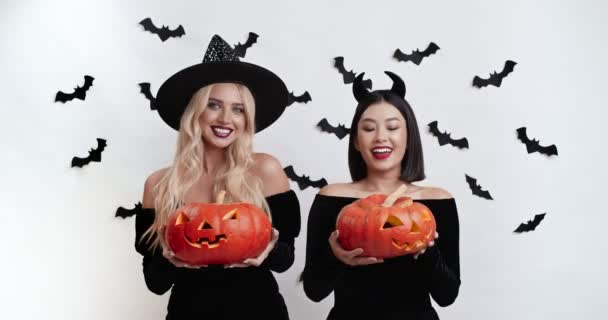Boldog Halloweent! Stúdió portré két boszorkányjelmezes nőről, sütőtökkel a kezükben és egymásra nézve. — Stock videók
