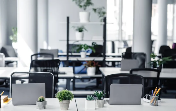 Coworking eco-office e ausência de trabalhadores durante a quarentena — Fotografia de Stock