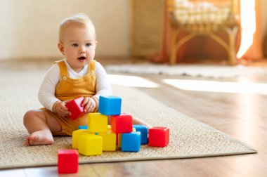 Sevimli Bebek Oturma odasında halıda otururken apartman bloklarıyla oynuyor, Kafkasyalı şirin çocuk portresi Renkli İnşaat Oyuncakları kullanıyor, Boşluğu Kopyala