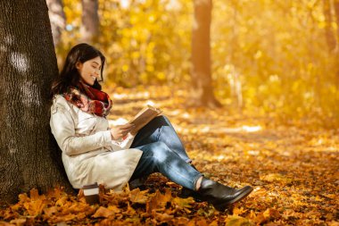 Ağacın altında oturan ve sonbahar parkında ilginç kitaplar okuyan romantik genç bir kadın. Barışçıl milenyum hanımı, sonbahar yapraklarında dinlenerek, doğada hafta sonunun tadını çıkarıyor.