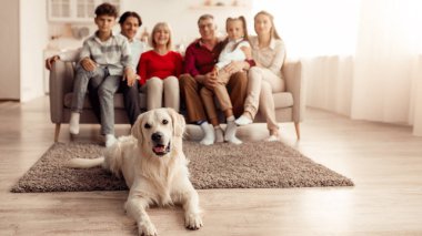 Evdeki halının üzerinde uzanan sevimli golden retriever köpeği oturma odasındaki koltukta oturan çok nesilli bir aile, seçici bir odaklanma. Evdeki yakınlarla bağ kurma zamanı