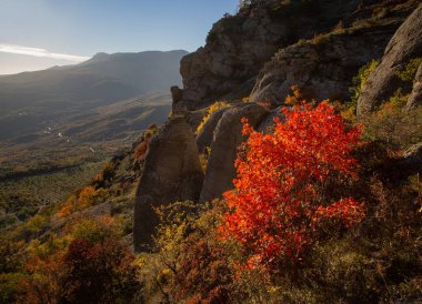 Hayaletler Demerdji Dağları'nın vadisinde sonbaharın parlak renkleri