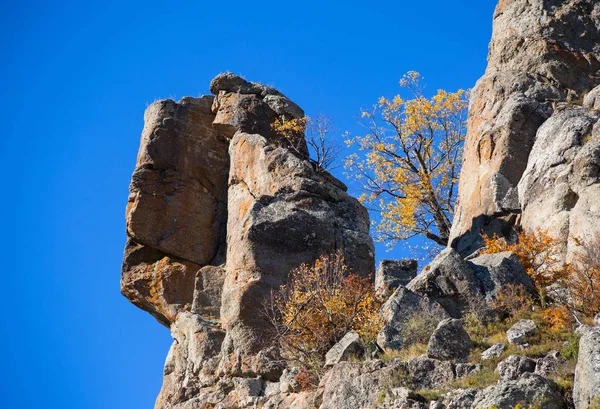 Яскраві Кольори Осені Долину Привидів Демерджи Гори — стокове фото