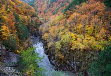 Granit Canyon Belaya Nehri'nin sonbahar renkleri