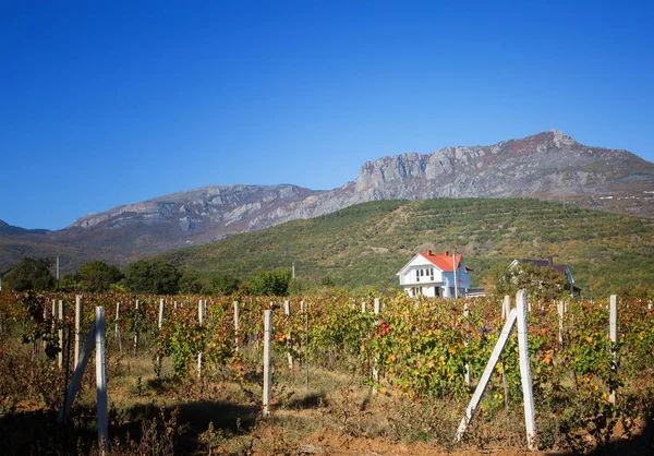 House in the mountains among the vineyards in the Crimea in the — Stock Photo, Image