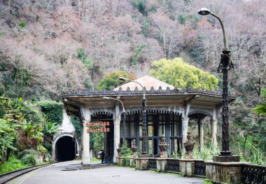 Tren İstasyonu, Psyrtsha Nehri yakınında yeni Athos
