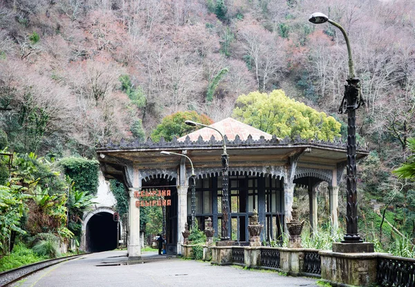 Tren İstasyonu, Psyrtsha Nehri yakınında yeni Athos