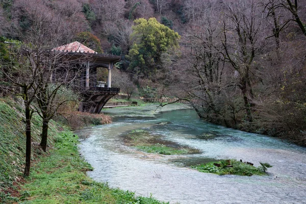 Σιδηροδρομικός Σταθμός Στο Νέο Άθω Κοντά Στον Ποταμό Psyrtsha — Φωτογραφία Αρχείου