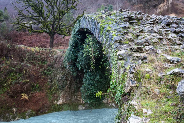 Беслецкий Мост Время Царицы Тамары Абхазии — стоковое фото