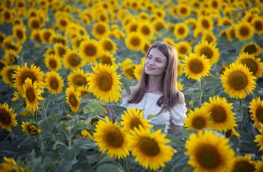 Gün batımında ayçiçeği tarlasında bir kız