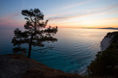 Pitsunda 'nın çam ormanlarında bir bahar akşamı Mavi Uçurumda Divnomorsk, Karadeniz