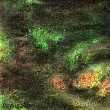parlak boyalı suluboya textures