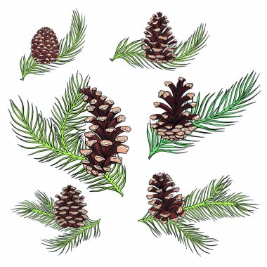 Vektör parlak çiçek çelenk, yaprakları, çilek, beyaz arka plan üzerinde izole Bahar,