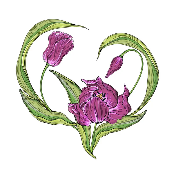 Kompositionen aus vektorfarbenen Tulpenblumen, Frühlingsblumen — Stockvektor
