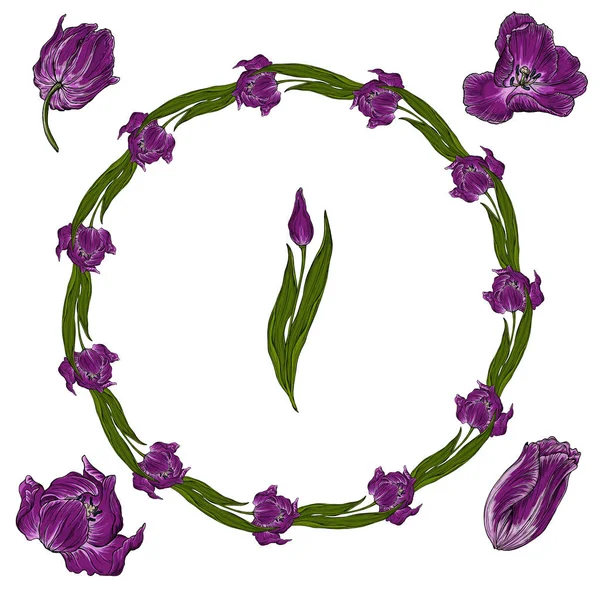 Composiciones de vector de color flores de tulipán, flores de primavera — Vector de stock