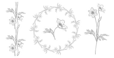 Çiçekli siyah-beyaz vektör bileşimi şakayık çiçekleri ile ayarlandı