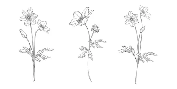 Векторный набор цветочных шаблонов — стоковый вектор