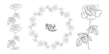 gül çiçekleri ve gül tomurcukları ile vektör çiçek aranjmanı