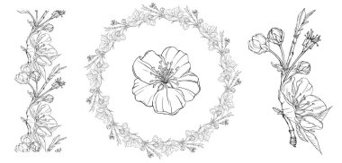 Bahar çiçekleriyle çiçekli grafik kompozisyonu