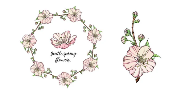Composición floral vectorial con flores de primavera — Vector de stock