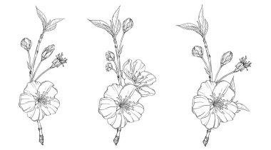 Bahar çiçekleri ile vektör çiçek grafik kompozisyon