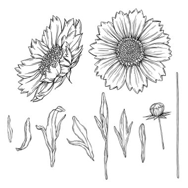 vektör grafiği KOLORED GÜVENLİK