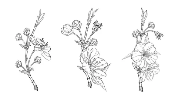 Vektorové květinové složení s pružinovými květy — Stockový vektor