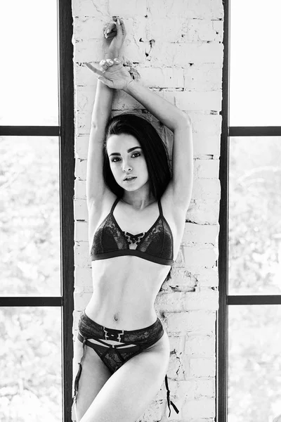 Black White Photo Gorgeous Young Brunette Woman Elegant Lingerie Posing — Stock Photo, Image