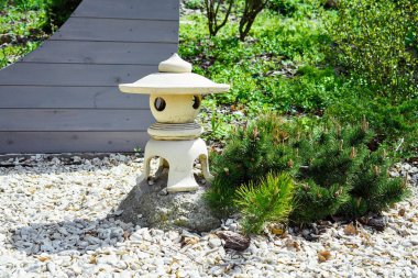 Zen bahçesi yeşil çim ile