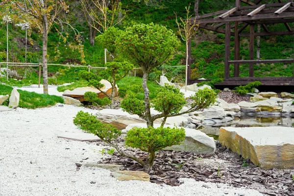 Zen bahçesi yeşil çim ile