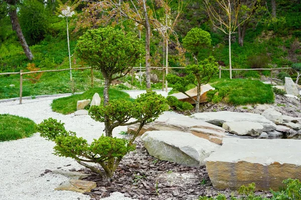 zen garden     with green grass