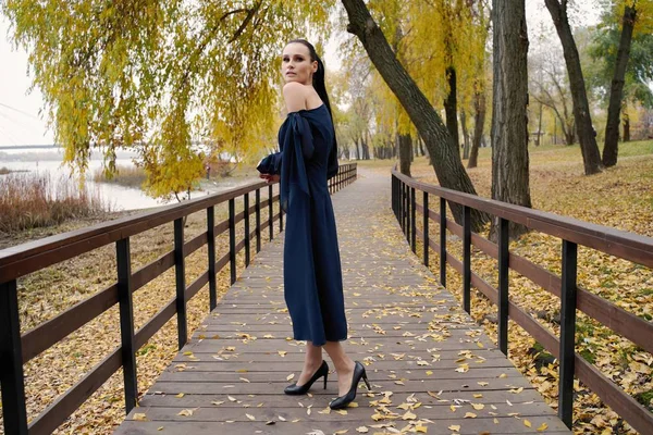 Linda Jovem Morena Vestido Elegante Posando Livre — Fotografia de Stock