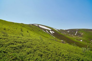 Dağ tepe aralığı manzara. Yeşil dağ görünümü. 