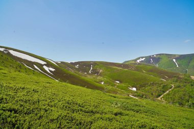 Dağ tepe aralığı manzara. Yeşil dağ görünümü. 