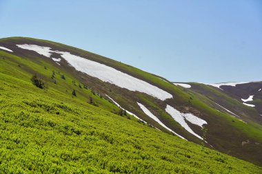 Dağ tepe aralığı manzara. Yeşil dağ görünümü. 