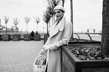 Piknik sepeti ile güzel genç kadın 