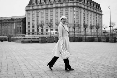 Piknik sepeti ile güzel genç kadın 