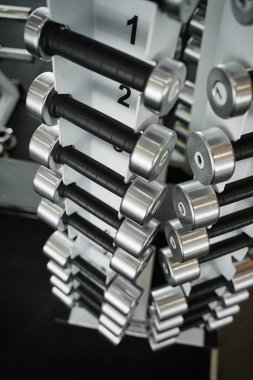 Spor salonunun rafındaki dambılların görüntüsü